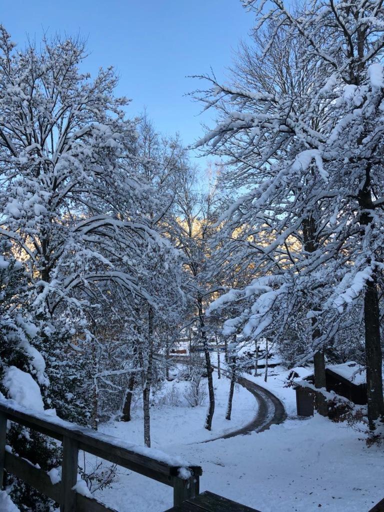 Chalet Le Grand Cerf Bullange Εξωτερικό φωτογραφία