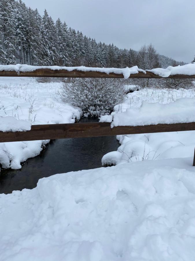 Chalet Le Grand Cerf Bullange Εξωτερικό φωτογραφία