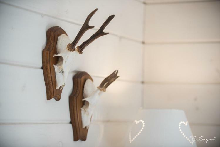 Chalet Le Grand Cerf Bullange Εξωτερικό φωτογραφία